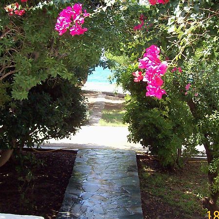Saint Nicolas Bungalows Arkasa Exteriér fotografie