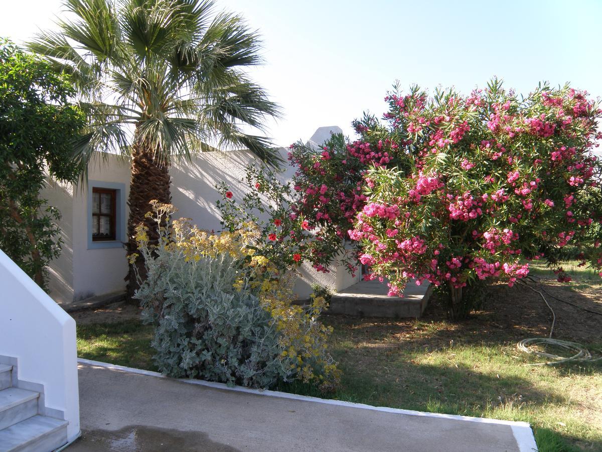 Saint Nicolas Bungalows Arkasa Exteriér fotografie
